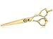Dream Reach Forbici da parrucchiere Forbici da taglio per capelli affilate Japanese 440C Premium in acciaio inossidabile Extra Sharp Taglio di capelli perfetto per donne e uomini Miglior regalo oro