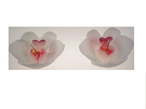 HOBI 2 Bougies Flottante orchidée - Blanche - Diamètre 7.2 cm.