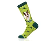 Chaussettes fantaisie colorées et confortables en coton, unisexe, motif chien, Rat Terrier, Small