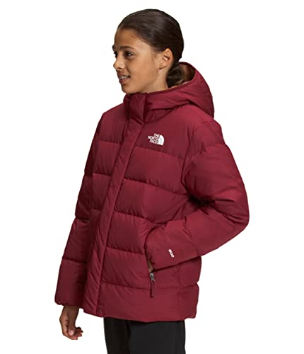 THE NORTH FACE Boys' North Down Fleece-Lined Parka3