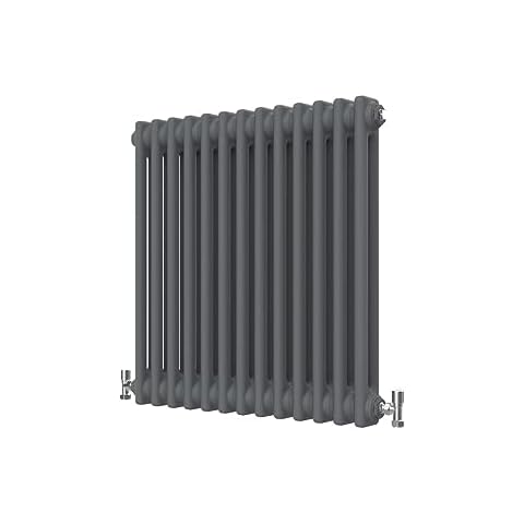 Radbliss Radiateur Horizontal 2 Colonnes Cover