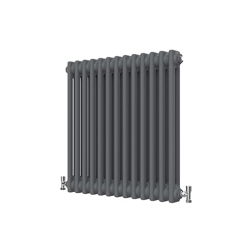 Radbliss Radiateur horizontal traditionnel 2 colonnes 600 x 605 mm Anthracite mat en fonte Design RAD Chauffage central