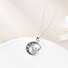 ZPMMPZ Phoenix Necklace 925 Sterling Silver Phoenix Moon Pendant Phoenix Jewelry Gifts for Women