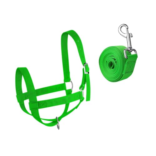 YueShengYCHUANG iCpn[lXAqpn[lXALg[jOANZT[ArƋpn[lXA߉\AƗpvdliCpn[lX