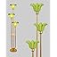 3 Green Flower|Gold U