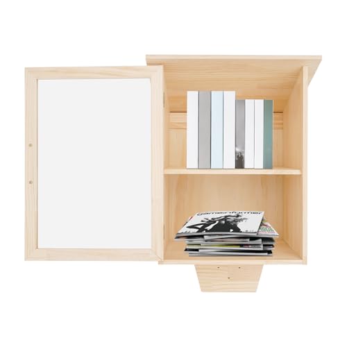 ZNLLQZN Bibliothèque en bois à 2 niveaux - Boîte à livres d'extérieur - Fenêtre transparente - Pour salon, bibliothèques, écoles et jardins