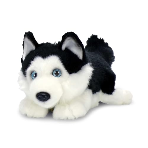 Image of Aurora World Miyoni Black Lying Husky Plush - Super Soft 11" Realistic Stuffed Animal Toy