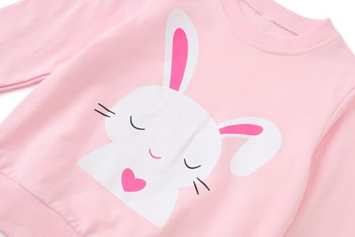 2-Pack Toddler Sweatshirts Kid Girl's Cartoon Cotton Long-sleeved Tops Crewneck Pullover Shirts For Kids 3-7 Years3