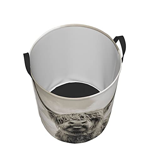 Foruidea Highland Cow Laundry Basket,Laundry Hamper,Collapsible Storage Bin,Oxford Fabric Clothes Baskets,Nursery Hamper For Home,Office,Dorm,Gift Basket #TOP2