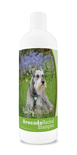 Healthy Breeds Herbal Avocado Dog Shampoo for Dry Itchy Skin for Miniature Schnauzer