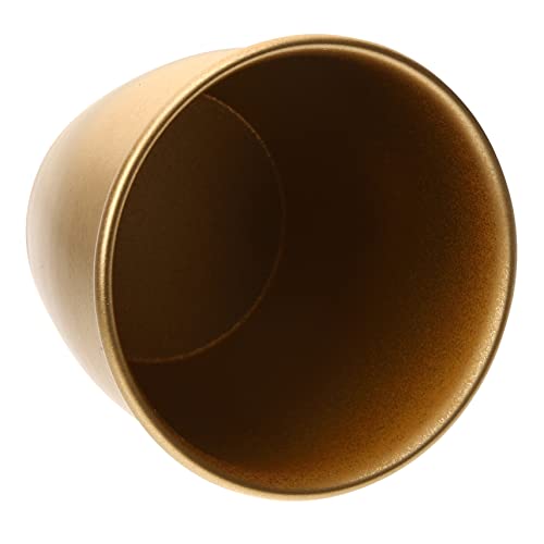 TOGEVAL Maceta de Metal Moderna para Plantas de Interior Decoración con Estilo para Suculentas y Flores Contenedor para Oficina y Interior y Exterior Color Dorado