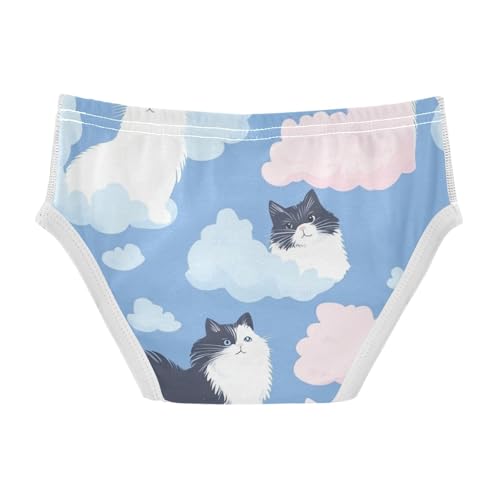 KLL Cats with Cute Clouds Pattern with blue Little Boys Cotton Athletic Underwear Breathable Children Panties2