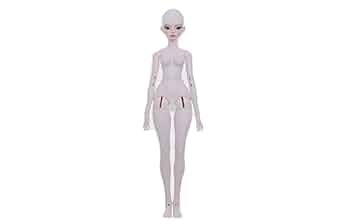 希少！　スパイスガールズ　5体フルセット フィギュア　ガルーブ社製 Amazon | BACALYSO | shuga fairy 1/4 スケール 球体関節人形 女