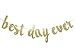 Best Day Ever Banner Hanging Garland for Wedding Decorations Bridal Shower Photo Prop Engagement Party Sign (Gold Glitter)