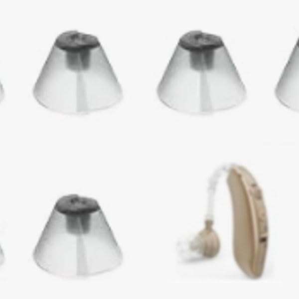 BIGPROT Hearing Aid H200 Accessories including domes, wax guards, and cleaning tool