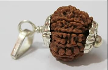 GemsTech 9 Mukhi Rudraksha Blessings of Maa Nav Durga Real 9 Face Rudraksha IGL Certified Nuamukhi Rudraksha Nav Mukhi Rudraksha Silver Cap Nine Face Nine Mukhi Rudraksha 9 