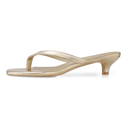 Image of Women's Flip-Flops Kitten Heels Thong Sandals For Women Square Toe Slip On Fashion Summer Dress Sandals