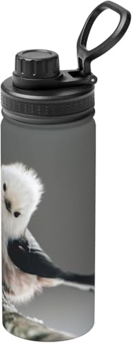 シマエナガ 鳥 北海道 雪の妖精 水筒 真空断熱 保温 保冷 スポーツボトル 人気 ステンレスボトル スポーツ飲料対応 漏れない 直飲み530ml 男の子 女の子 おしゃれ 大人 子供 アニメ グッズ キャラクター