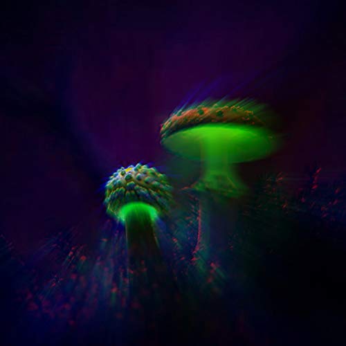 Psychedelic Mushrooms (Kanadaskogen Chill Edit)