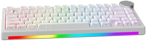 AK820 V2 8KHz Magnetic Mechanical Keyboard Bingyu Hall Effect Rapid Trigger — view 2