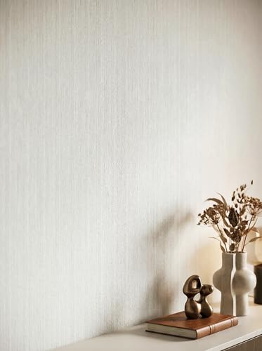 Newroom Papier Peint Gris Clair Intissé avec texture unie douce pour Salon et Chambre - Vinyle Texturé 10,05x0,53m Made in Germany