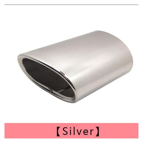 Embout d'échappement pour BMW E91 E93 E83 solution de remplacement canule rouillée silver