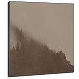 72"x72" XL Framed Wall Art - Minimalist Foggy Forest Tranquil (Frame Assembly Required)