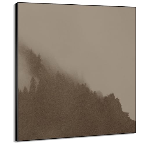46"x46" XL Framed Wall Art - Minimalist Foggy Forest Tranquil