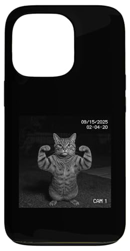 Funny Cat Flexing On Security Camera X}zP[X iPhone 13 Pro p