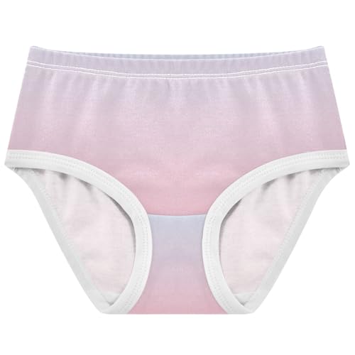 Joisal Cotton Toddlers Underwear Floral Elegant Blue Shell Pink Gradient Panties Little Girl Bright Briefs Undies Kids 2t