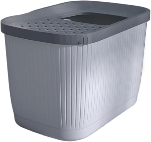 DancJulie L gC Xh[^ ォLgC Wt ChTCY  [ ^L jIC̍Lh~ ̔юUh~ Lpi ^LgC Lpi L  RۖhL zCg (zCg)