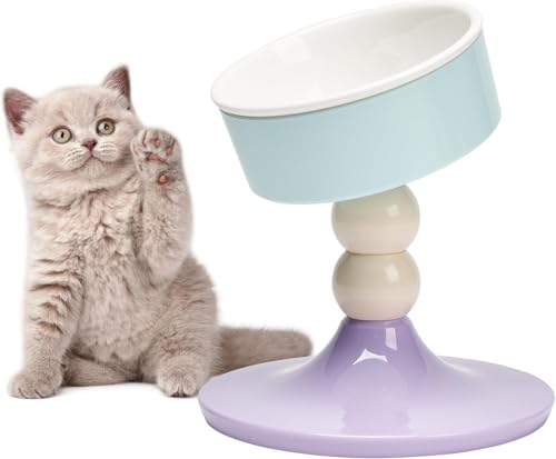 [Snughom]yybg{Ez\ LpH 20°pxyph{Ez~ߕt HiABS+퐻 qIŊȒP|