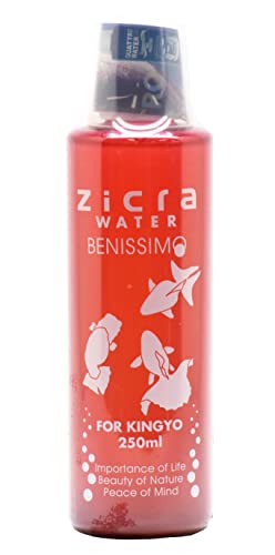 WN (Zicra) WNEH[^[ xjbV E{Wp 250~bg (x 1)