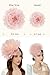 BABEYOND Fascinators Hats for Women - Tea Party Kentucky Fascinator Derby Hat Mesh Flower Fluffy Headband with Hair Clip Pink