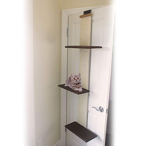 Smartcat, tiragraffi multilivello per Gatti