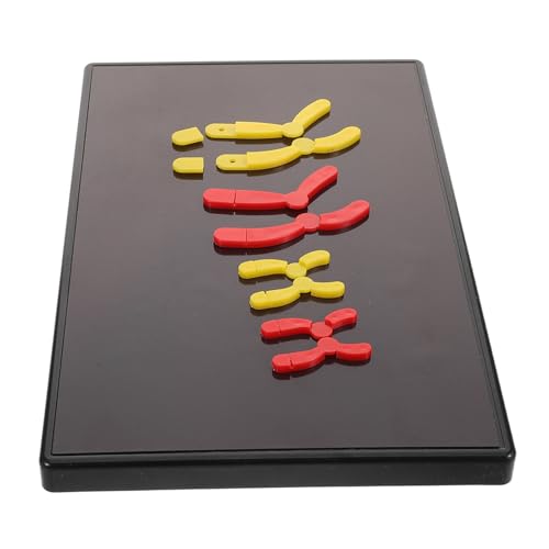 Veemoon Modelo De Enseñanza De Biología: Ayuda Didáctica De Biología. Modelo Magnético De Cambio Cromosómico para Proyectos Científicos De Secundaria. Herramienta De Aprendizaje