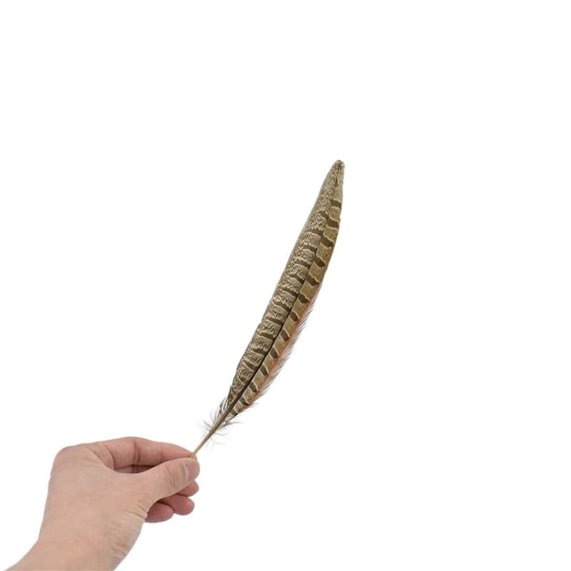 Plumas de faisán de 55-60cm para decoraciones de bodas y centros de mesa 3