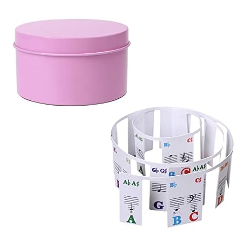 NORK Piano Keyboard Stickers for Beginners, 61 Full-Size Electronic Organ Key Labels Overlay Removable with Case, Easy Install, 29 Inches Cover