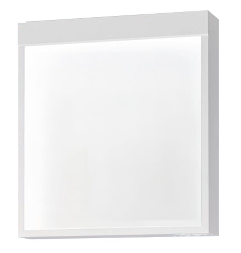 Amazon | パナソニック(Panasonic) 天井直付型・天井吊下型 LED誘導灯