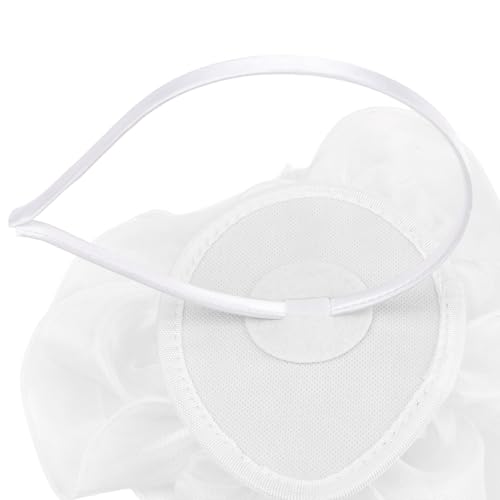 Image of DRESHOW Fascinators Hat Tea Party Headwear Ribbons Feathers on a Headband and a Clip for Women