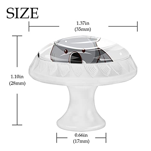 Boutons d'armoires de cuisine Koala durables pour tiroir de commode et placard - 5