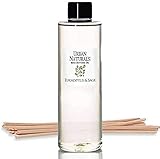 Urban Naturals Eucalyptus & Sage Oil Reed Diffuser Refill | Eucalyptus, Sage, Mint, Lime and...