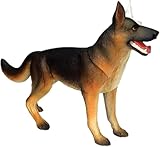 Zoom IMG-1 cttqibuin kit modello anatomico e Zoom IMG-1 cttqibuin kit modello anatomico e