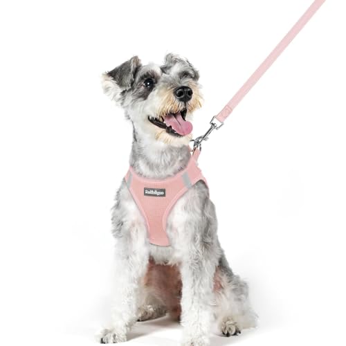 Image of rabbitgoo Dog Harness Medium Sized and Leash Set, Step-in Puppy Pet Vest