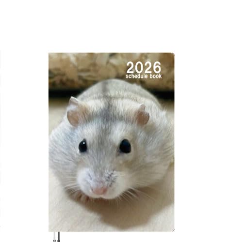 y\̔z nX^[˂ 2026N A5XPW[ A526360