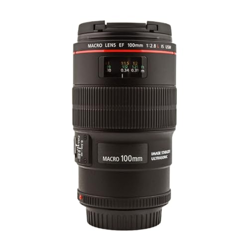 In-Depth Review of the Canon EF 100mm f/2.8L IS USM Macro Lens: Performance & Compatibility Insights