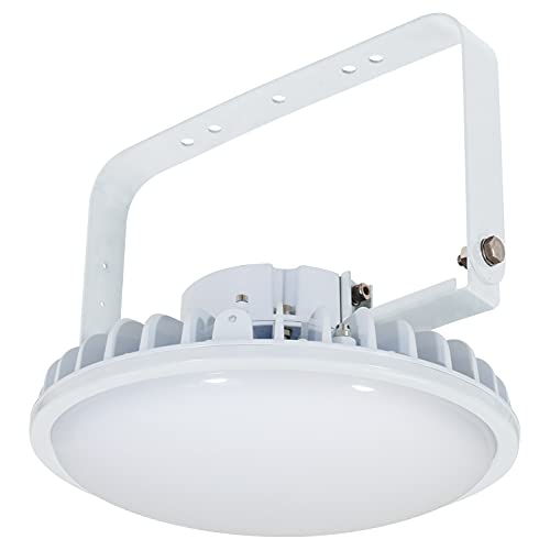 日動 ハイディスク 200W 33100lm 吊り下げ式 L200B-P-HM110