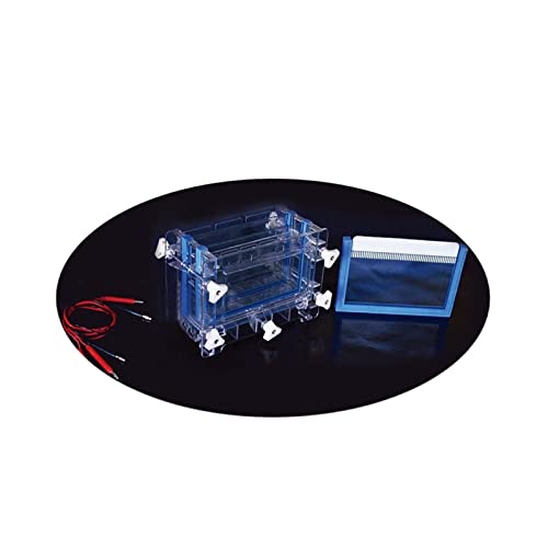 Réservoir d'électrophorèse vertical sandwich DYCZ-30C à double plaque - 2