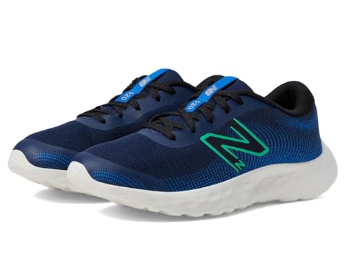New Balance 520V8 Running Shoes