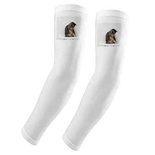 Manchons de protection contre les rayons UV pour chat à haute isolation solaire et tissu extensible